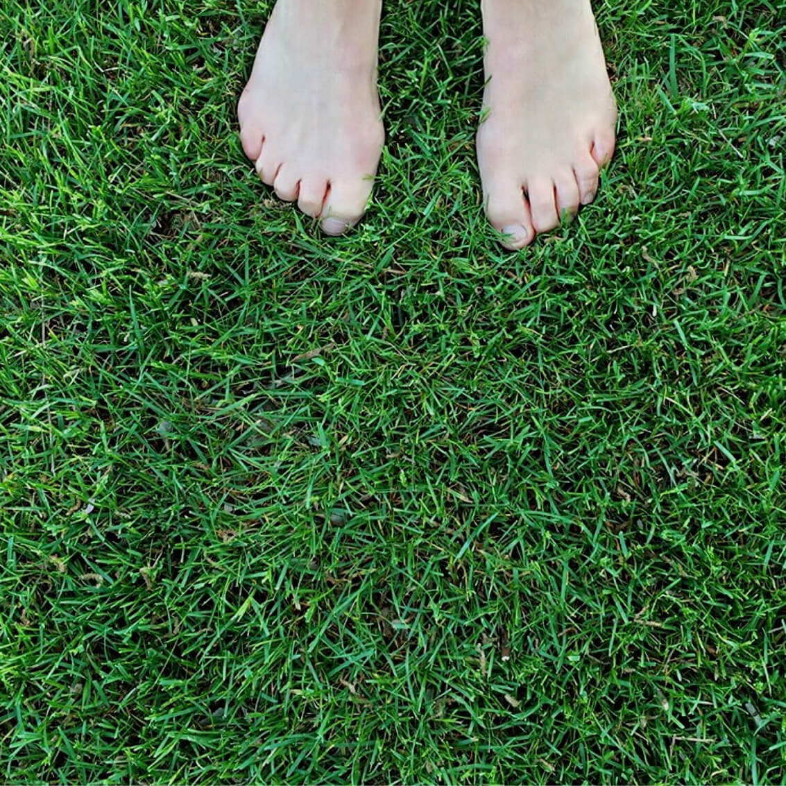 barefoot-1394847_1920 (1) Un ambiente per sentirsi finalmente liberi